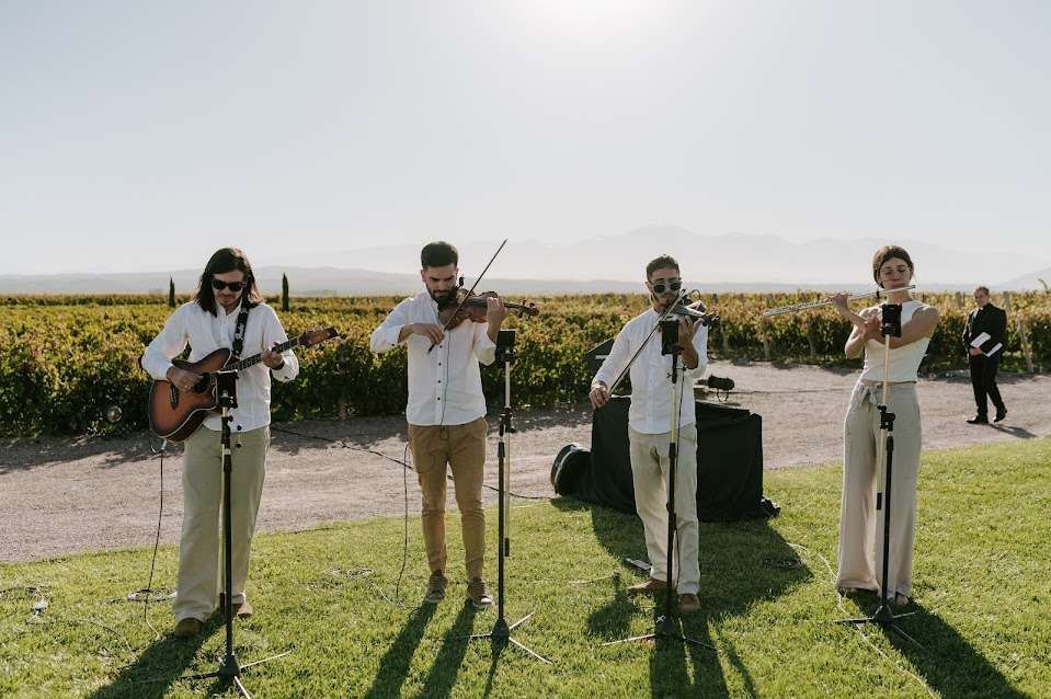 Boda en Mendoza — foto 13
