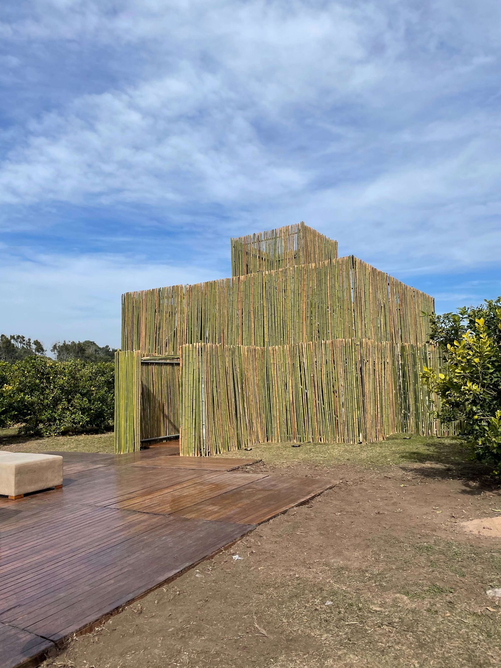 Boda entre limoneros — foto 3
