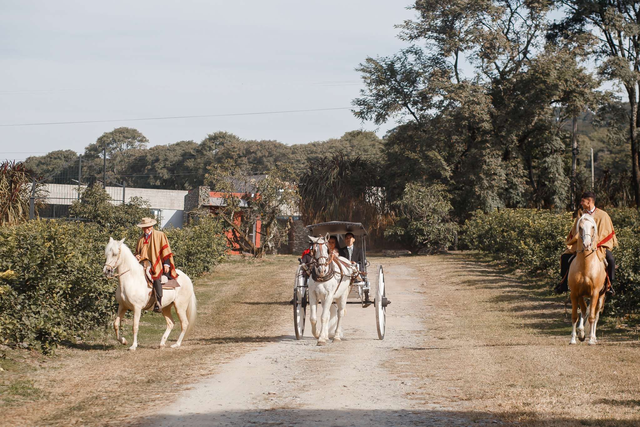 Boda entre limoneros — foto 7