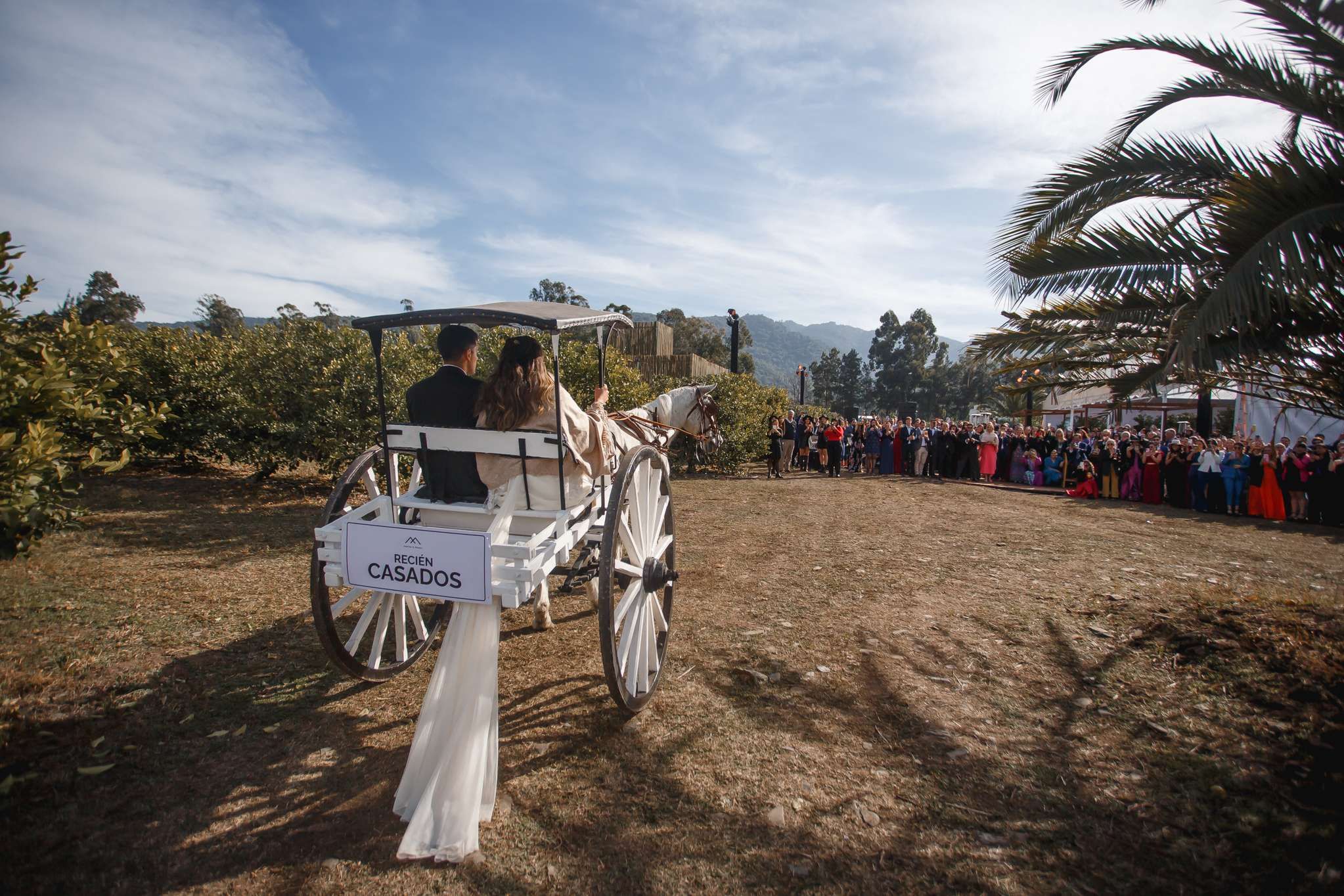 Boda entre limoneros — foto 9