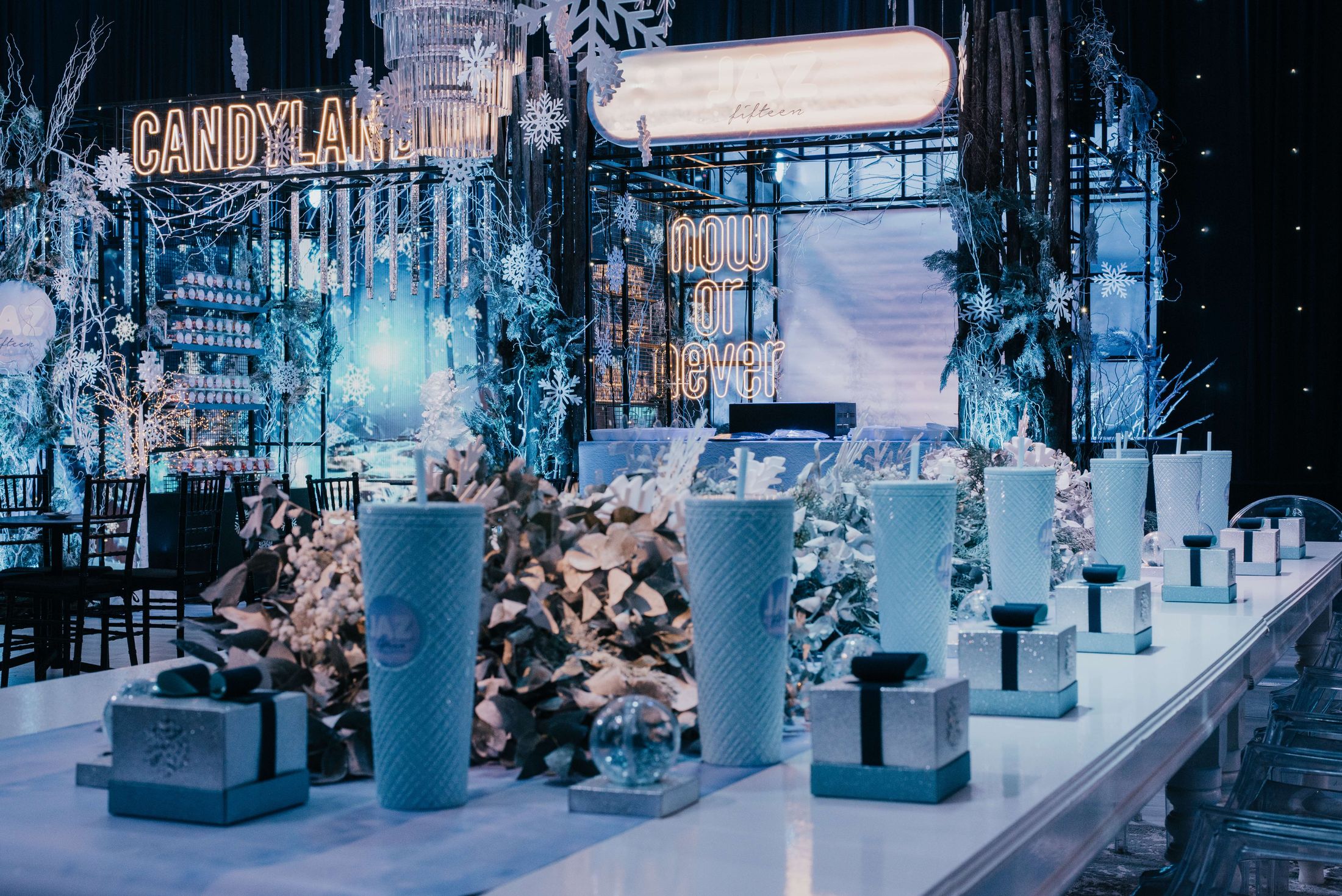 XV Winter — foto 12